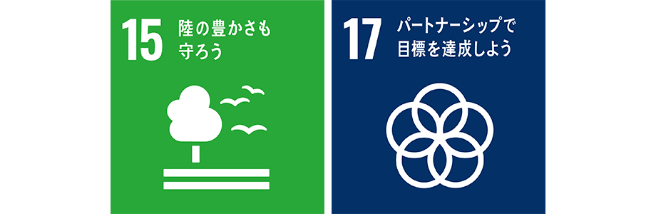 sdgs_04